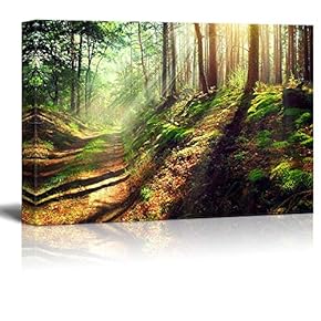 Canvas Prints Wall Art - Beautiful Scene of Misty Old Path in Forest on an Sunny Autumn Morning | Modern Wall Decor/Home Art Stretched Gallery Canvas Wraps Giclee Print & Ready to Hang - 12" x 18"