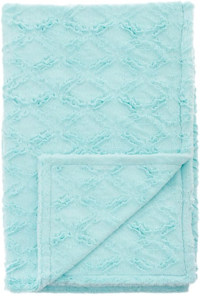 blue minky blanket