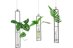 IVOLADOR I Ivolador 3 Pack Different Length Test Tube Hanging Glass Plant Terrarium Bud Propagation Station Container for Home Decoration Green Plants Wedding