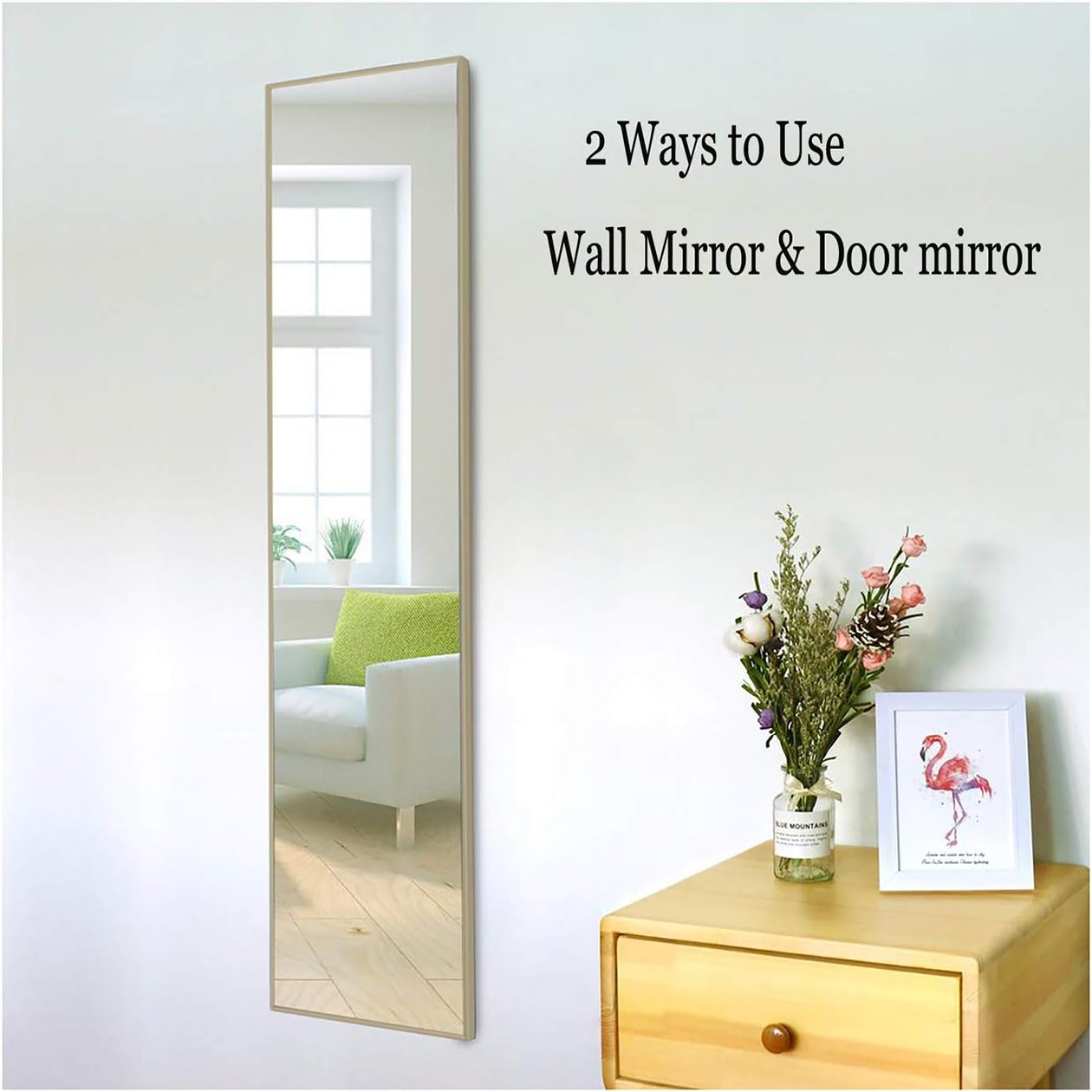 Ecentaur Full Length Mirror Hanging Wall Mirrors Door