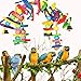 Bird Chewing Toy, Nibbling Keeps Beaks Trimmed, Preening Keeps Feathers Clean, Keeps Physically and Psychologically Fit, Multicolored Wooden Blocks Attract Pet’s Attentionthumb 4