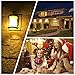 LOHAS Yellow Bug Light Bulbs, 3W LED Mini G14 LED Globe Bulbs, 25W Equivalent, E26 Medium Base, Non-Dimmable Night Light Bedrooms LED Lights for Home Lighting Fixtures, 6 Pack