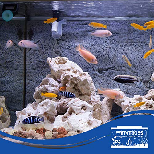 MyfatBOSS Bio Balls Ceramic Rings Set, 10 in 1 Aquarium Filter Media