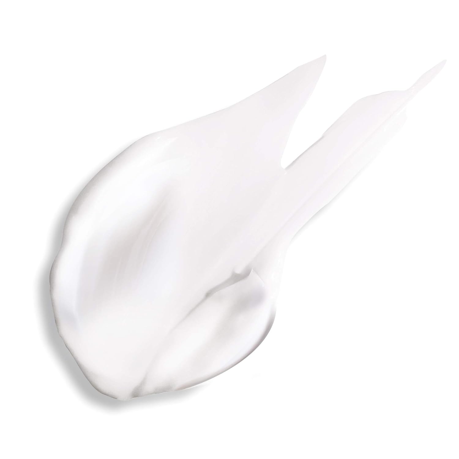 Caudalie Nourishing and Protective Hand and Nail Cream, 2.5 Ounce: Premium Beauty