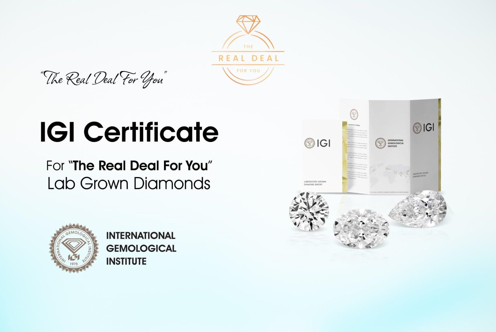THE REAL DEAL FOR YOU IGI Certified Lab Grown Loose Diamond, 1-10 CT TW (D-E Color, VVS-VS Clarity) for Making Precious Fine Jewelry