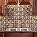 FASÄDE Traditional Style/Pattern 1 Decorative Vinyl Backsplash Panel in Bermuda Bronze (6X6 Inch Sample)