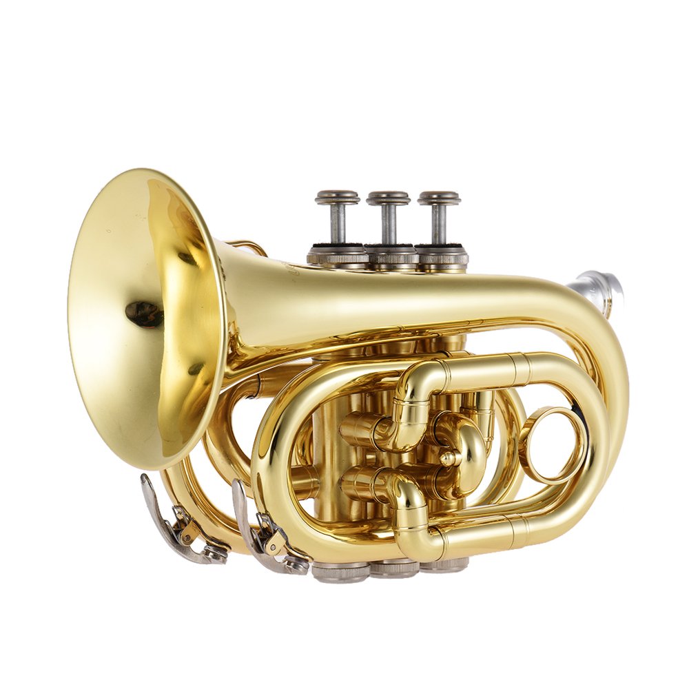 ammoon Trompette Bb Laiton Plat Mini Poche Instrument à Vent avec
