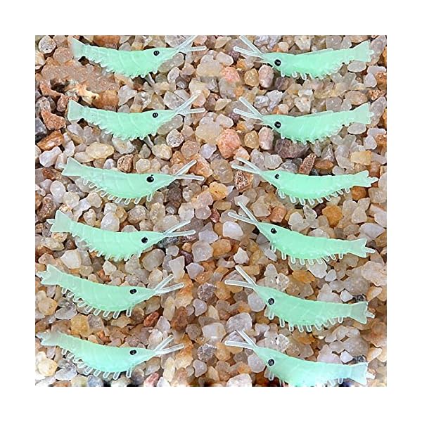 JSHANMEI-30pcs-3cm-118inch-Green-Luminous-Silicone-Soft-Shrimp-Lure-Baits-Small-Luminous-Noctilucent-Fishing-Simulation-Prawn-Shrimp-Lure-Bait-Fishing-Tackle-Lure-Baits