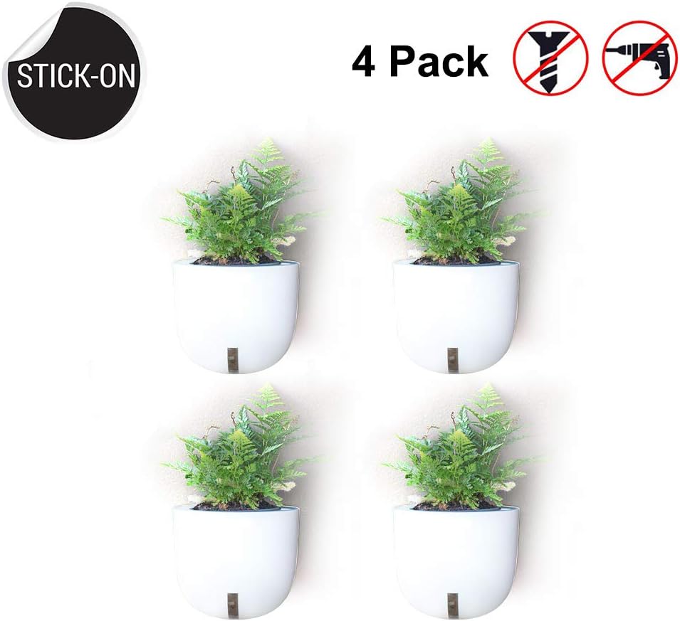(No Screw/No Hanging) Wall Planters Vase Stick-up Design Moveable Reusable Use,Indoor and Outdoor Plastic Wall Plants Holder for Succulent Herb Pots Flower Vase Air Plant,4 Pack (Not Included Plants)