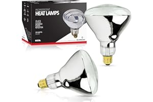 BULBMASTER 250 Watt Heat lamp Bulb for Bathroom R40 Incandescent Shower Heat Lamp Clear Infrared Bath Light 250R40 Chicken Light Bulb E26 Base 2 Pack