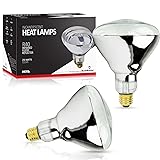 BULBMASTER 250 Watt Heat lamp Bulb for Bathroom R40