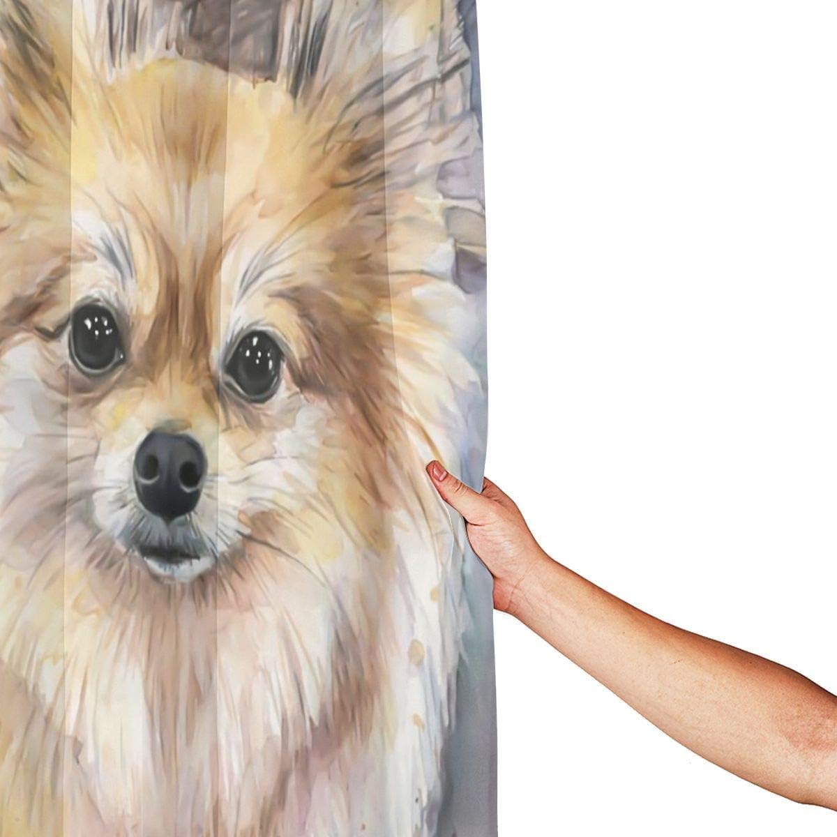 Amazon ポメラニアン水彩ポメラニアン子犬犬かわいい動物の絵バスルーム用シャワーカーテンしわ防水ポリエステル生地カスタムシャワーカーテン66x72インチ12フック付き シャワーカーテン ホーム キッチン オンライン通販