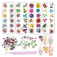 4 Boxes Nail Dried Flowers, Bosixty 48 Colors 3d Dried Flowers Nail Art, Real Natural Flowers Nail Art Supplies for DIY Crafts Nails Decorations Nail Salon Nail Decals Nail Design