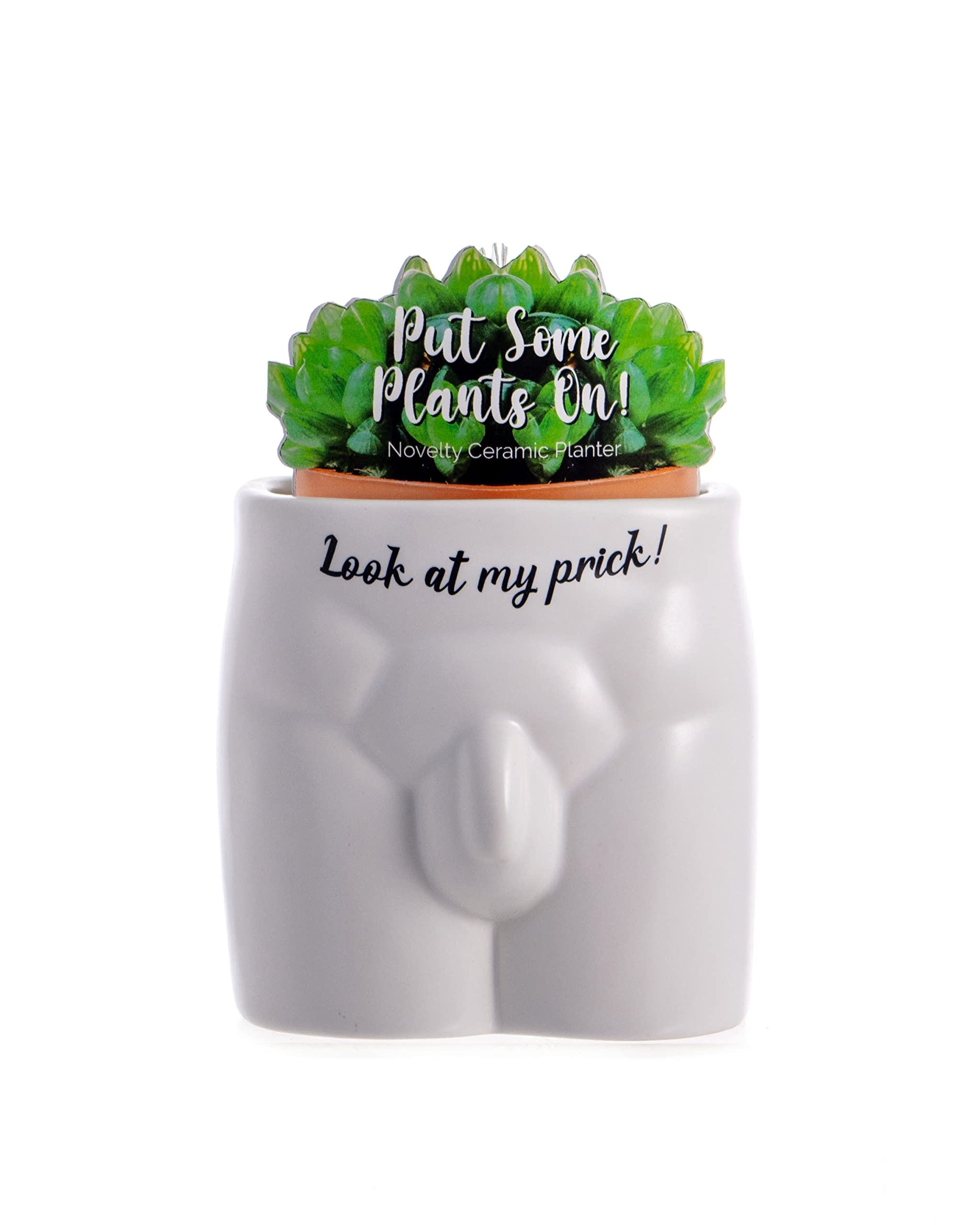 Boxer Gifts Always Keep Me Moist' Novelty Body Shaped Planter | Funny Rude Home Décor Gift, Ceramic, White,Black, One Size