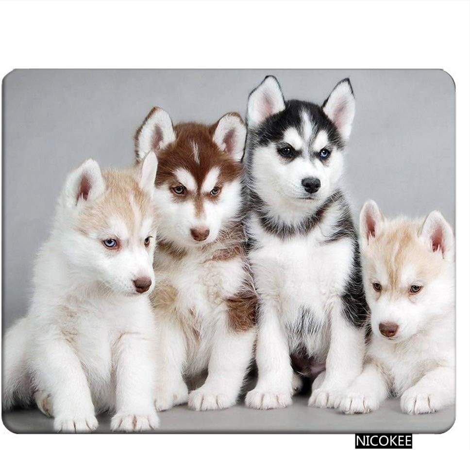 NICOKEE Dogs Rectangle Gaming Mousepad Husky Puppies Dogs Mouse Pad Mouse Mat for Computer Desk Laptop Office 9.5 X 7.9 Inch Non-Slip Rubber