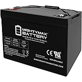 ML100-12 - 12 Volt 100 AH, Internal Thread (INT) Terminal, Rechargeable SLA AGM Battery, 1 Count (Pack of 1)