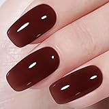 AILLSA Winter Brown Gel Nail Polish Burnt Berries