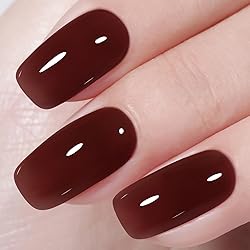 AILLSA Winter Brown Gel Nail Polish Burnt Berries