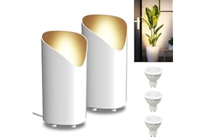 LEASTYLE Up Lights Indoor Floor Can Light,9W Uplighting with GU10 Bulbs,Floor Spot Lights Indoor Spotlight for Home Plant Picture,5.9 FT Plug Cord & Foot Switch(2 Pack,3 Bulbs)