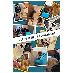 Fluff Trough Elevated Slow Feeder Dog Bowls | Slow