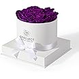 Graclect 7-Piece Preserved Roses in a Box for Delivery Prime - Forever Flowers - Immortal Roses Birthday Gifts for Her - Christmas & Valentines Day Gifts for for Mom/Girlfriend/Wife/Grandma - Purple…