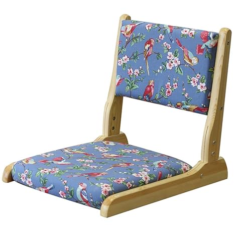 Amazon.com: Silla de piso acolchada plegable con respaldo ...