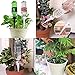 DCZTELG Plant Waterer Spikes Devices System-Automatic Drip Irrigation Watering Care Your Flower Travel Forgetting Potted Plants Black&White (12pack)