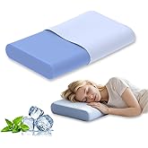 AEPINBH Cervical Pillow for Neck Pain Relief, 3.9 Inch Cooling Memory Foam Pillow, Ergonomic Support Pollow for Side and Back Sleepers