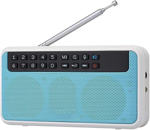 bt speaker with fm radio