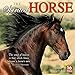 The Spirited Horse 2017 Wall Calendar