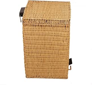 trash can with removable lid