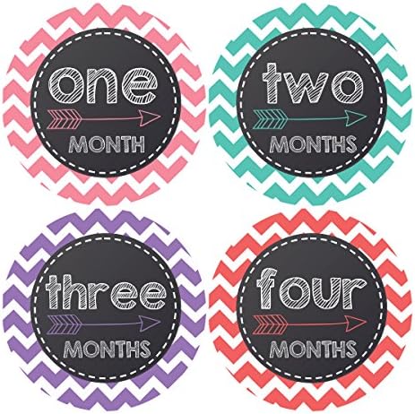Pinkie Penguin Chalkboard with Arrow Baby Monthly Stickers - Baby Girl Bridal Theme - Milestone Onesie Stickers - 1-12 Months - Baby Shower Gift