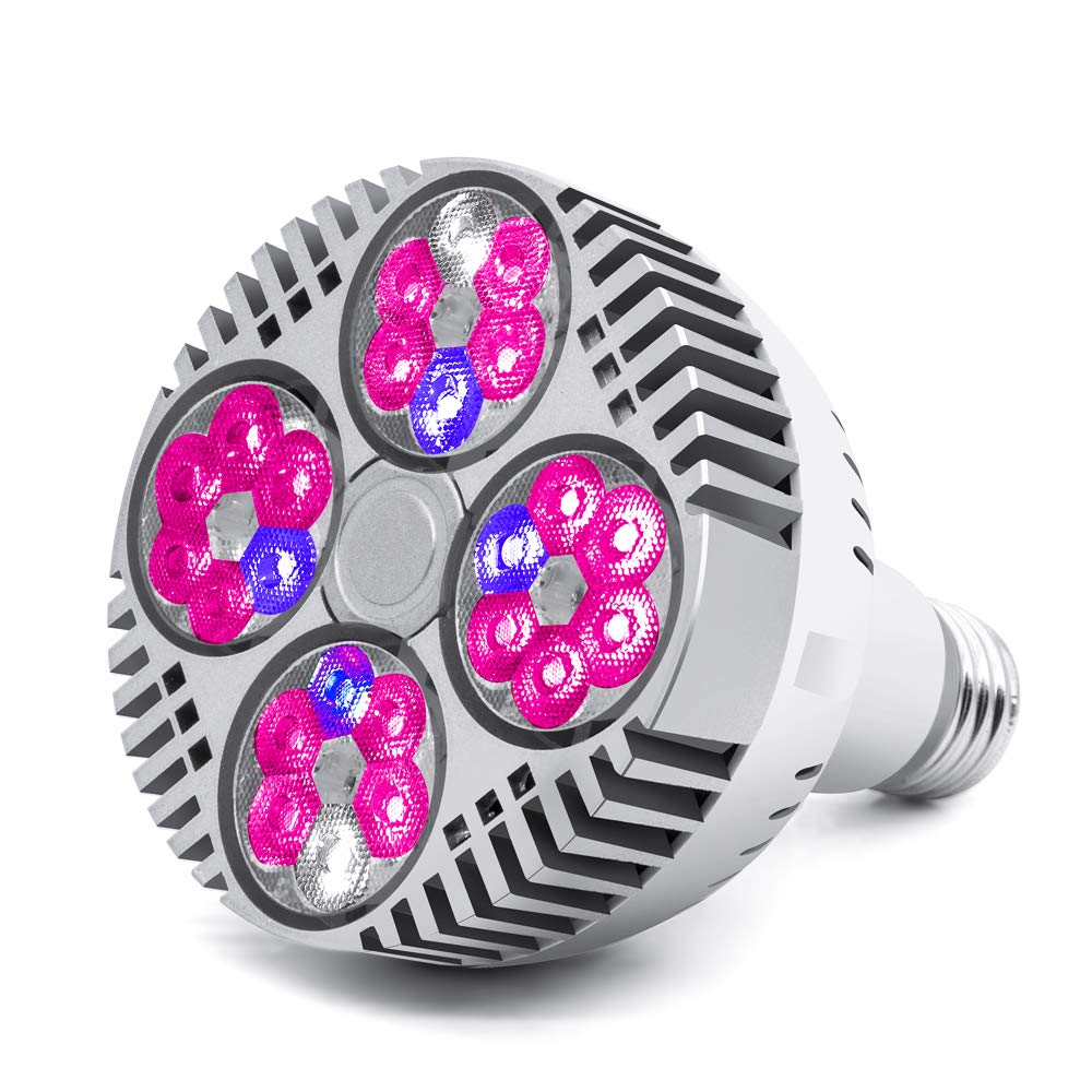 Best ge red light bulb