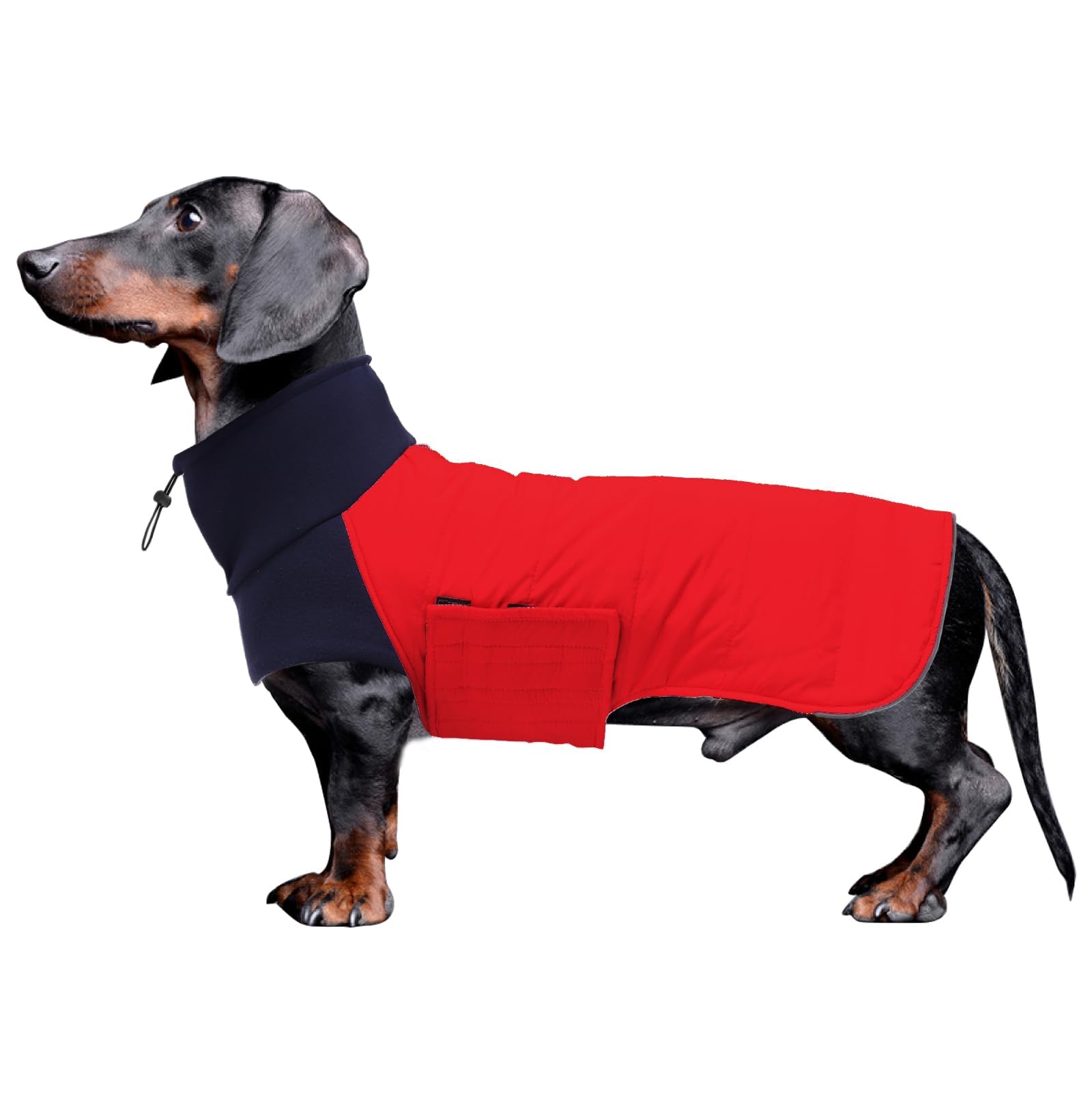 Dachshund dog coats sausage jacket fit for dachshunds corgi reversible dog winter coat padded cotton lining high collar dog suit in Autumn Winter - Red - M