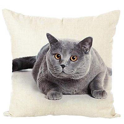 Cuscino Decorativo Quadrato 45x45 Cm Con Cane Simpatico – Federa In Misto Cotone E Poliestere, Stampa Bifacciale, Regalo Originale