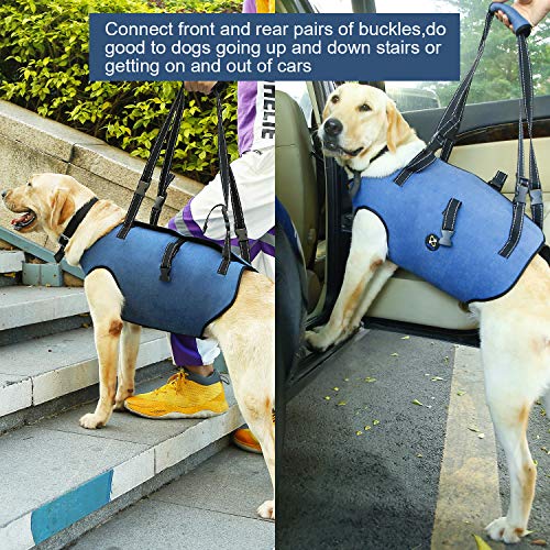 Coodeo Dog Lift Harness, Pet Support & Rehabilitation Sling Lift