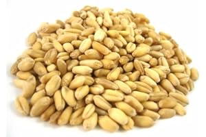 Soft Wheat KERNELS- 22lb