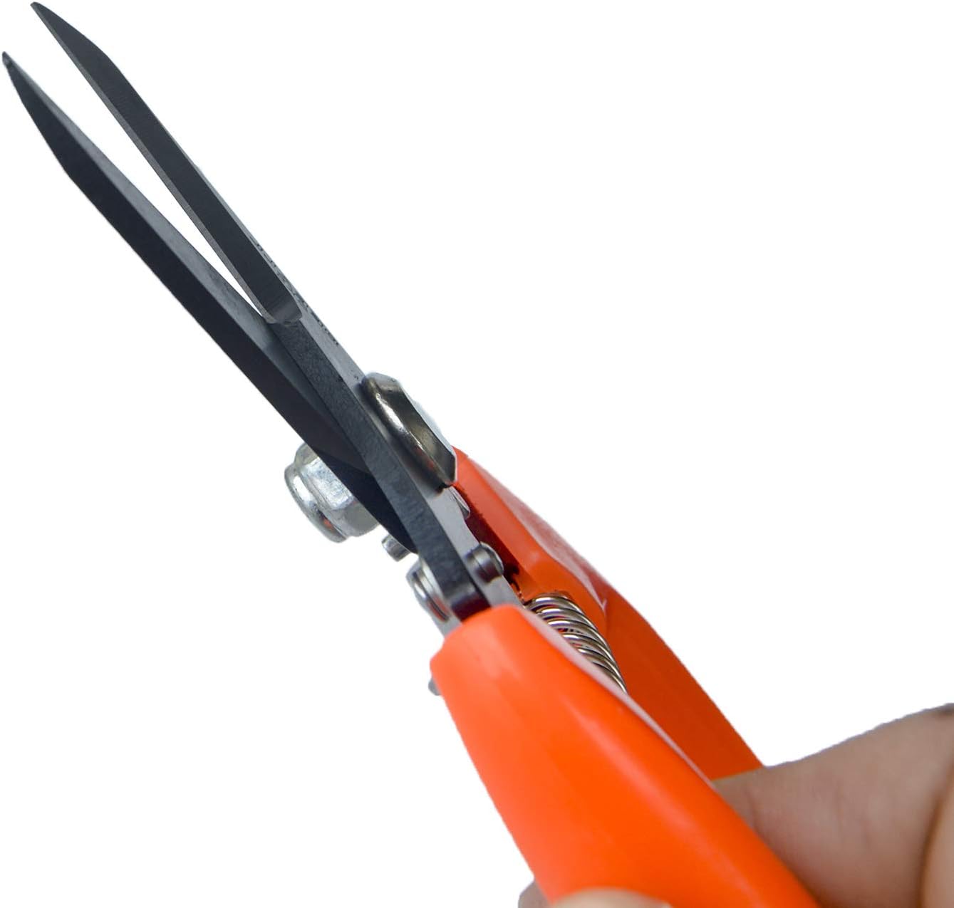 Foot Rot Shears Sheep Hoof Trimming Shear Goat Hooves Trimmers Multi-Use Hand Pruner Scissors, Black - Image 4