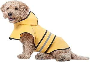 amazon dog raincoat advert