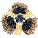 Black Rose Hair Dark Root Ombre Brazilian Afro Kinky Curly Human Hair Extension Weft Weave Kinky Curly Hair 3 Bundles 2 Tones Ombre 1b/27 Black/Blonde 12