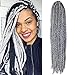 VRHOT 6Packs 18'' Box Braids Crochet Hair Small Synthetic Hair Extensions Twist Crochet Braids Hairstyles Braiding Hair Long Dreadlocks for Black Women 18 inch Grey (18 inch, Gray)