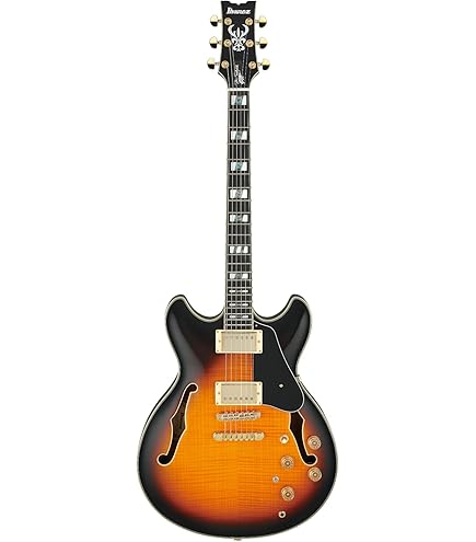 Amazon.com: Ibanez JSM10EM John Scofield Signature Semi