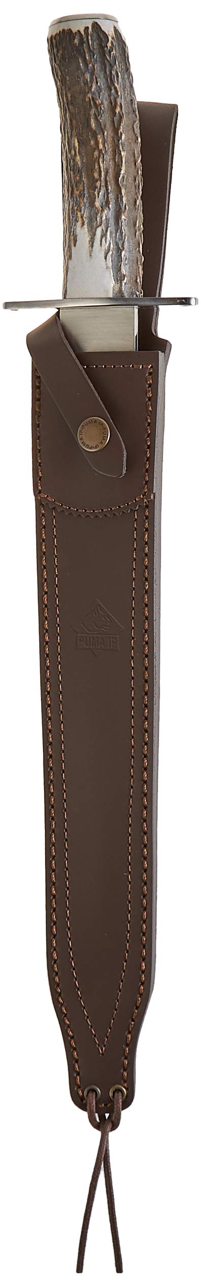 PUMA 10ES4046581110291ES10 IP The Dog, Multicoloured, Unisex-Adult, Small