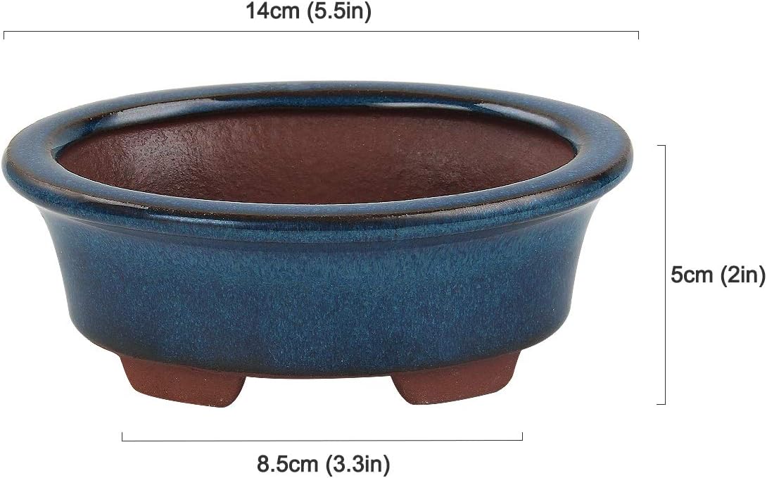 happy bonsai Small Glazed Pots, Value Pack of 2 + 4 Soft Mesh Drainage Screens, Blue, 14 x 5 cm/10 x 4 cm - Image 3