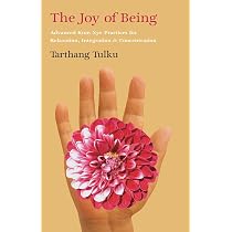 Amazon.com: The Joy of Being: Advanced Kum Nye Practices for ...