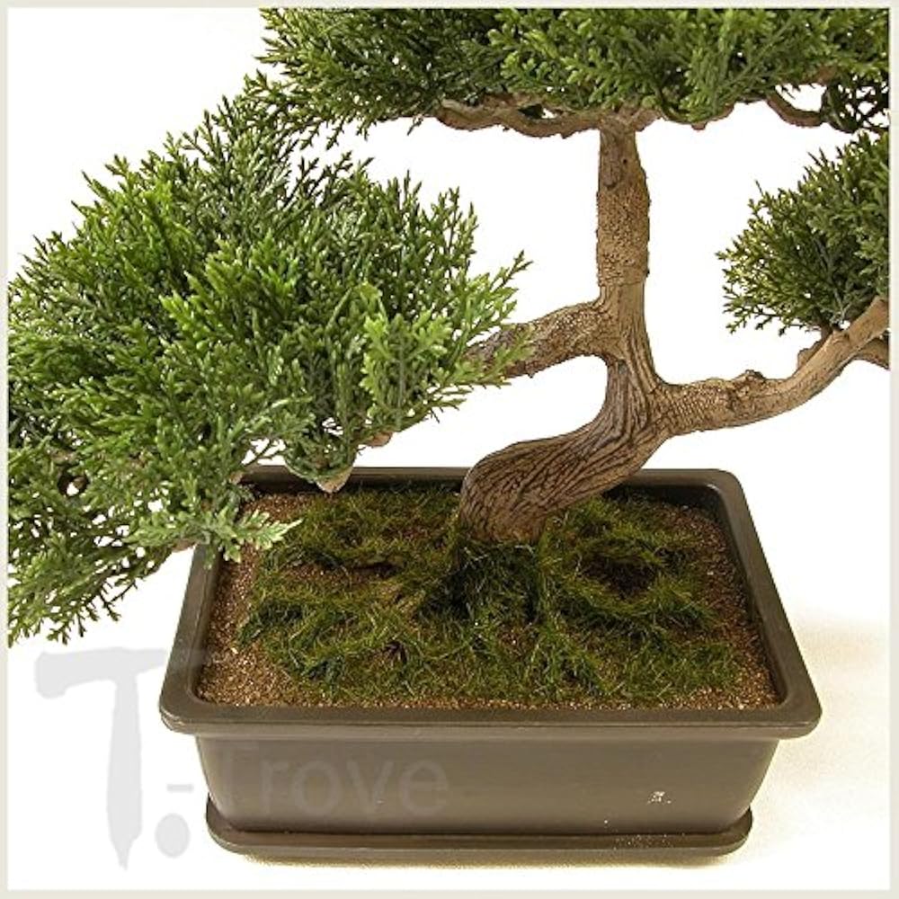 TTrove Artificial Japanese Cedar Bonsai Tree 9 Inch Tall Home