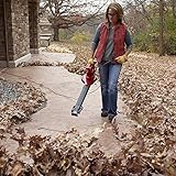 Toro 51621 UltraPlus Leaf Blower Vacuum, Variable-Speed (up to 250 mph) with Metal Impeller, 12 amp
