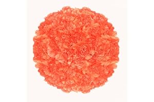 GlobalRose 100 Orange Carnation Flowers - Responsibly Sourced Carnations Fresh Flowers - Hand-Picked Fresh Bouquet for Graduation, Anniversary, Birthday & Special Occasions (4 Bunches of 25 Stems)
