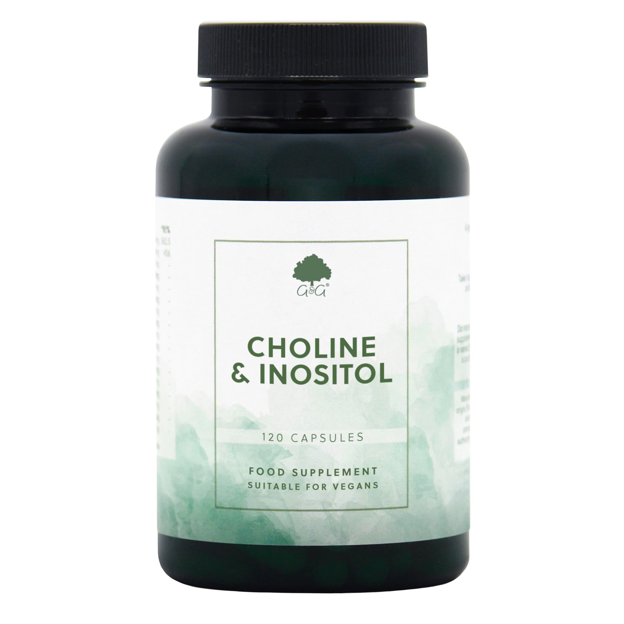 Choline & Inositol Capsules - 120 Vegan Capsules - Non-GMO, Made in the UK - G&G Vitamins