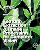 Spending on Feature Extraction and Image Processing for Computer Vision